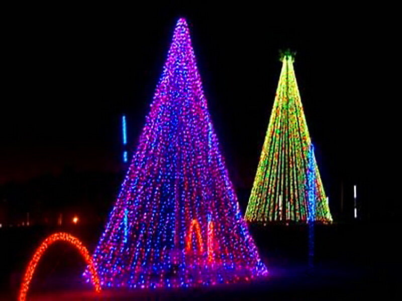 Illuminated Christmas Trees — Purple