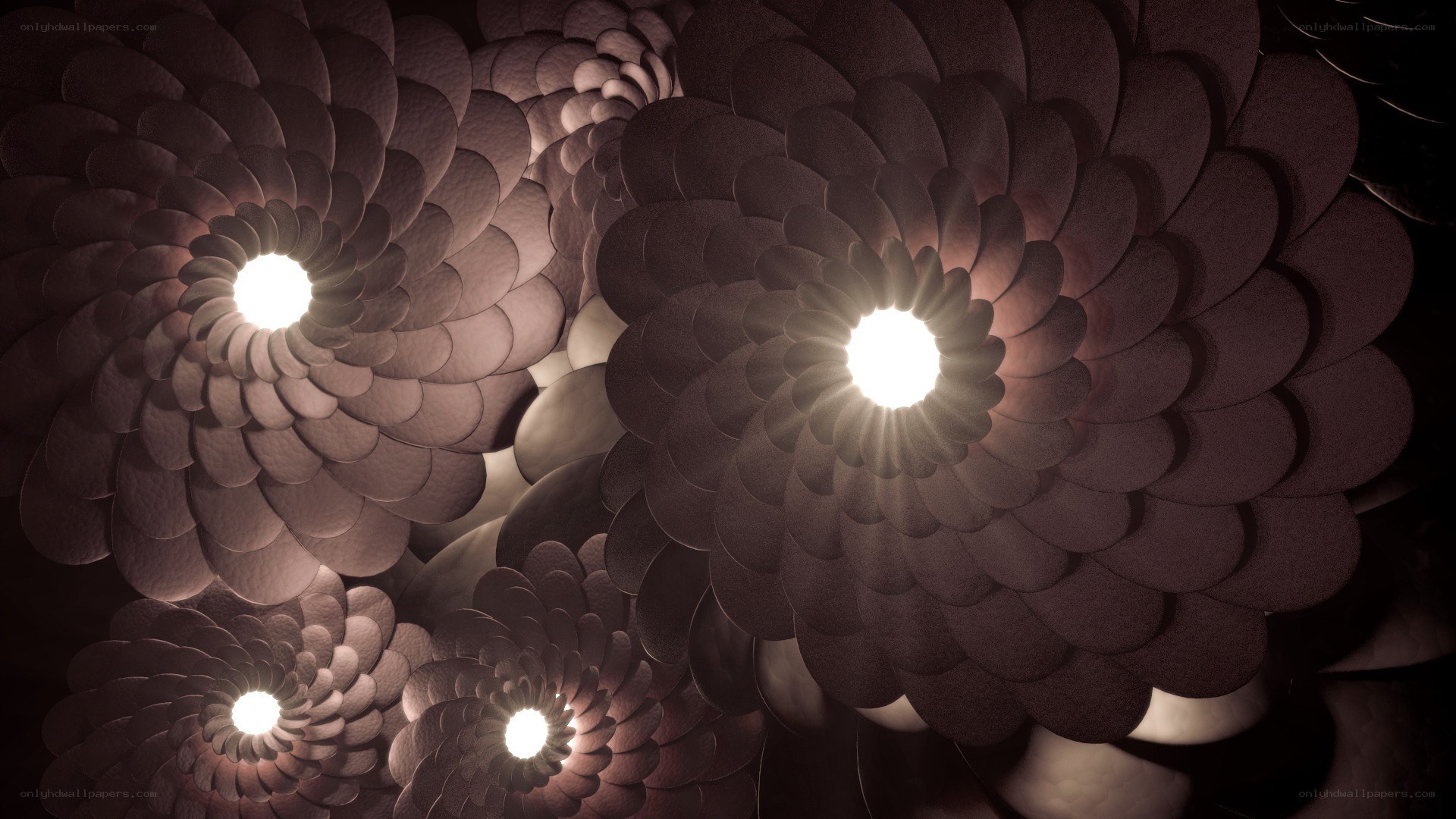 illuminated floral sculptures