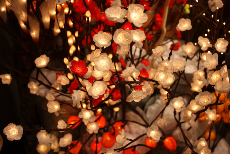 Illuminated Flower Branches