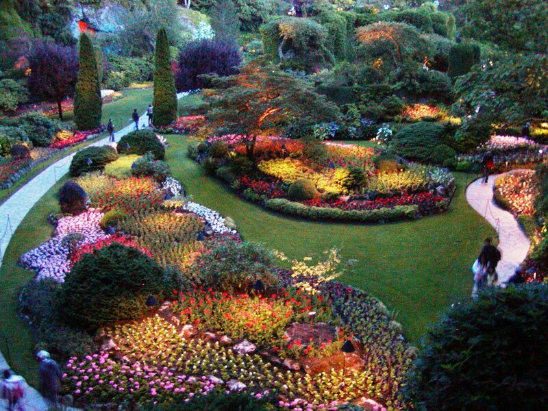 Illuminated Flower Garden