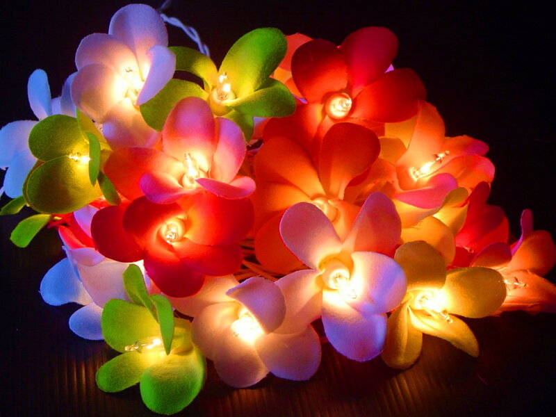 Illuminated Flower Lights