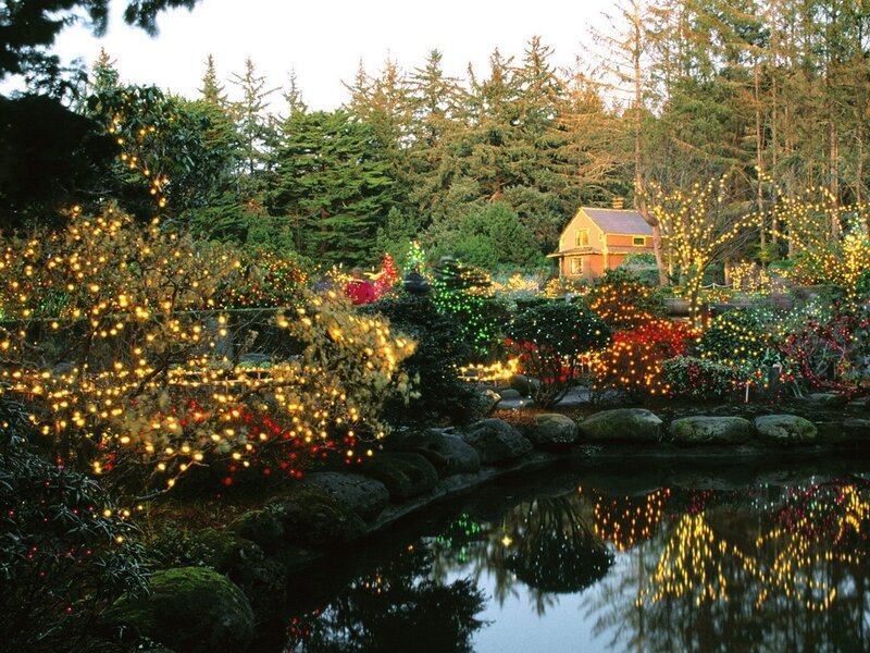 Illuminated Garden at Dusk — Green, Serene