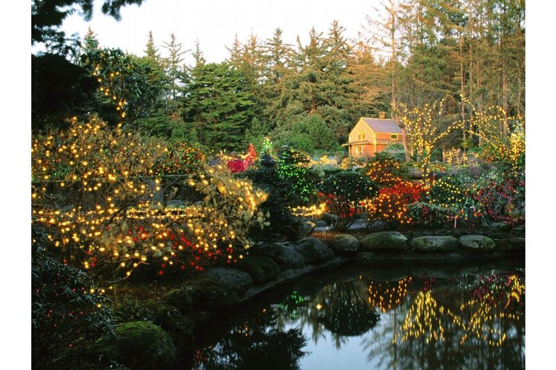 Illuminated Garden at Dusk — Green