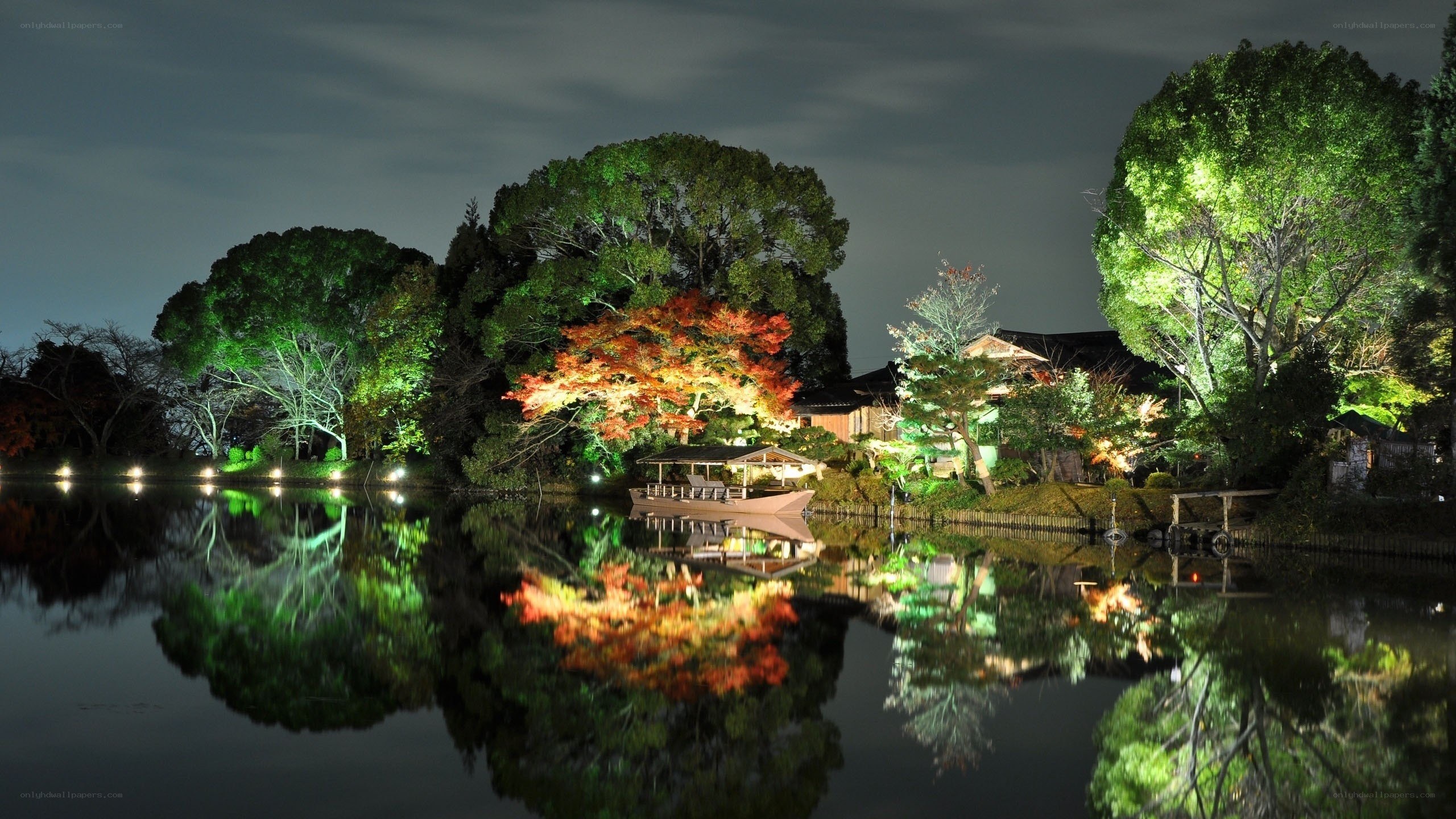 Illuminated garden at night