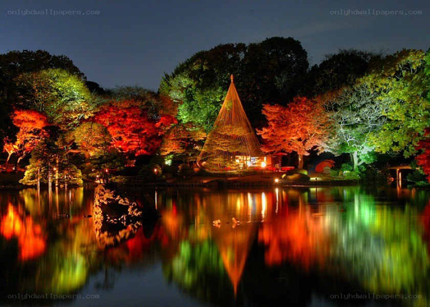 Illuminated garden at night