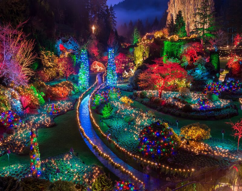 Illuminated Garden at Night — Green, Festive