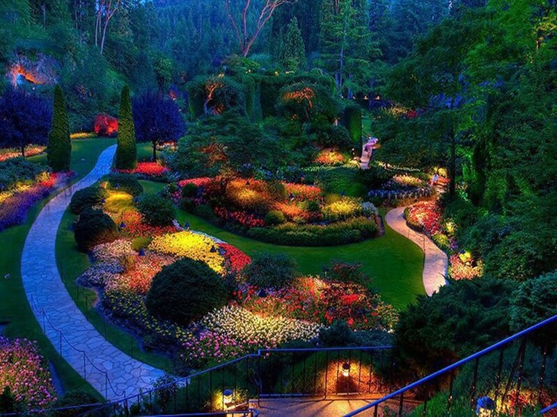 Illuminated Garden at Night — Green, Serene, Photograph, Path, Flowers