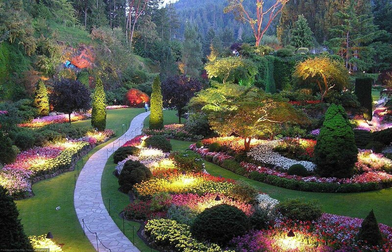 Illuminated Garden at Night — Green, Serene, Photograph, Path, Flowers, Trees