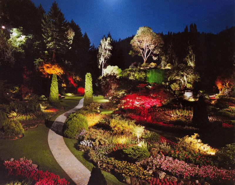 Illuminated Garden at Night — Green, Serene, Photograph, Path