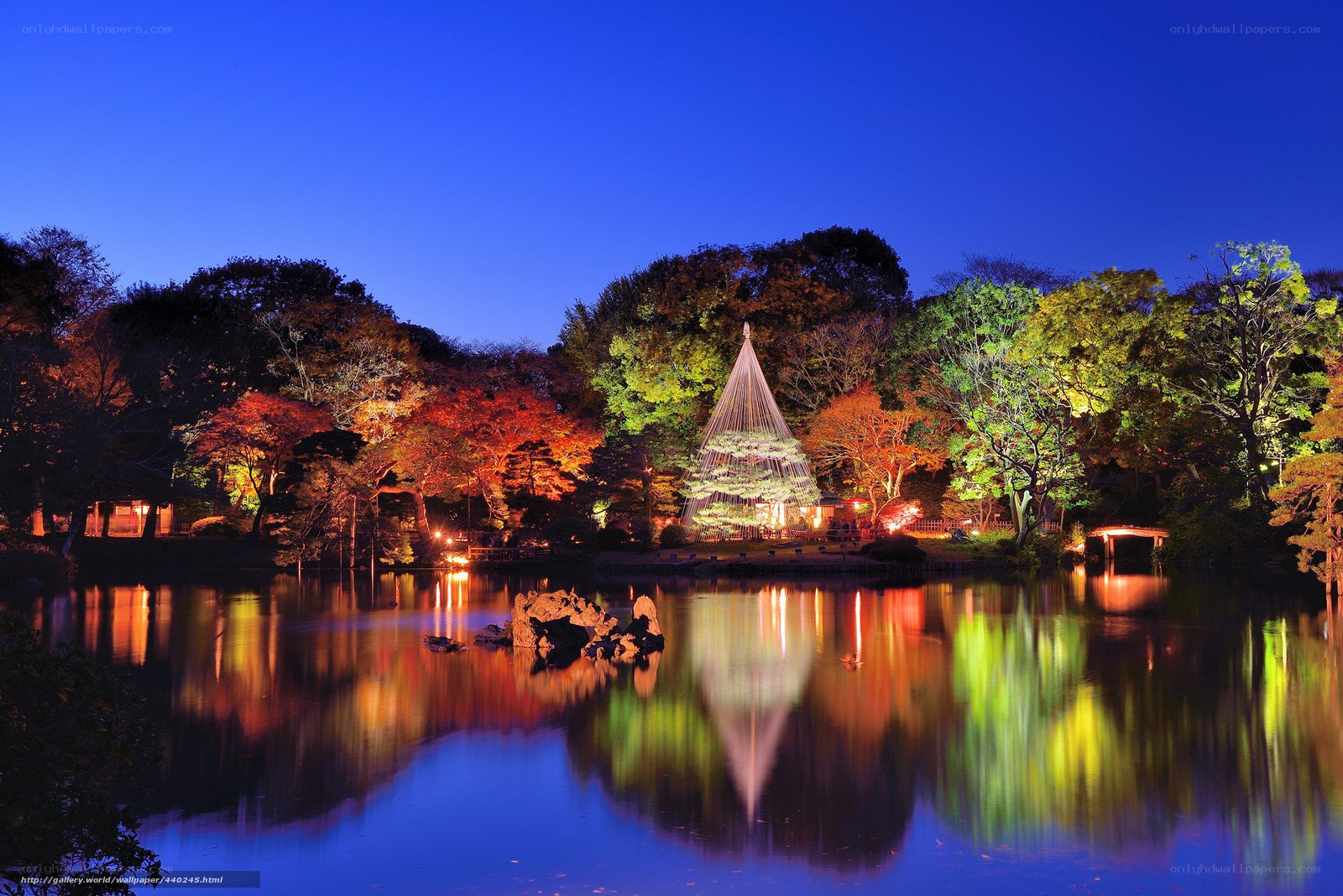 Illuminated garden at night