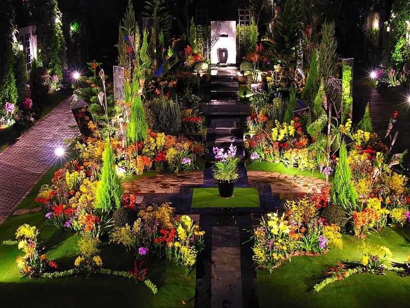 Illuminated Garden Display