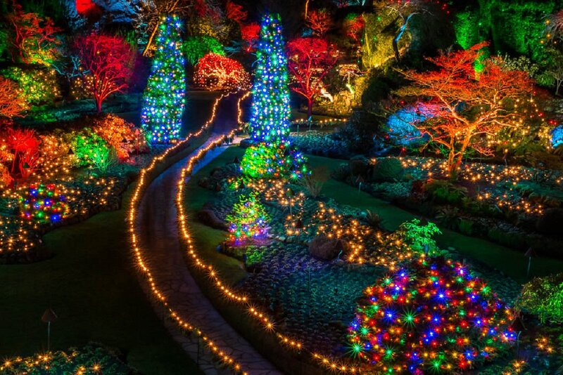 Illuminated Garden Path