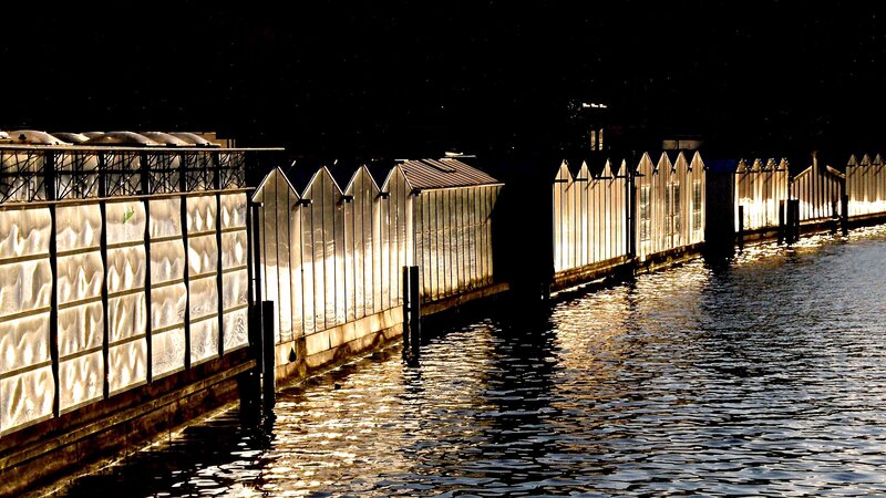 Illuminated greenhouses at night
