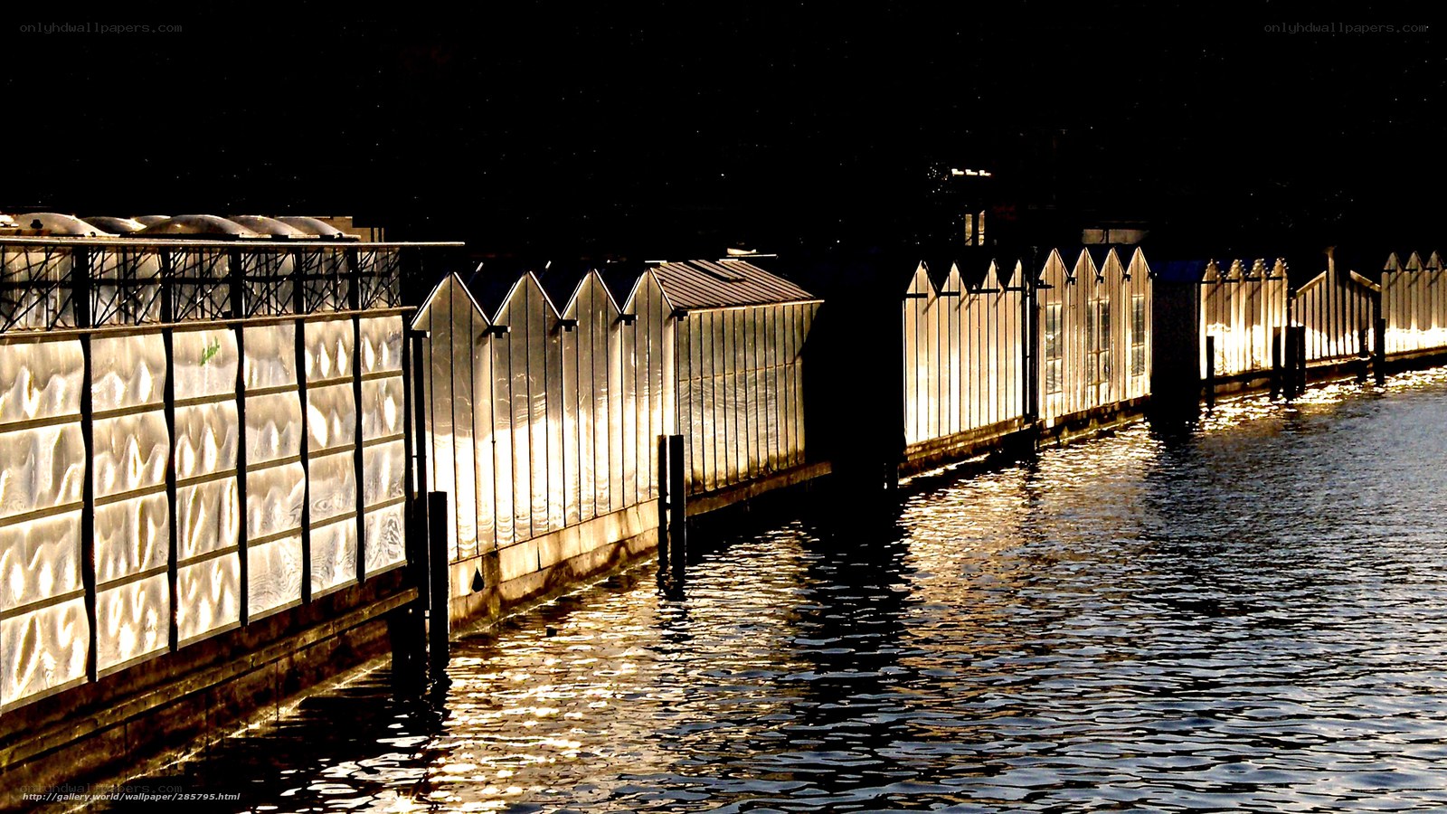 Illuminated greenhouses at night