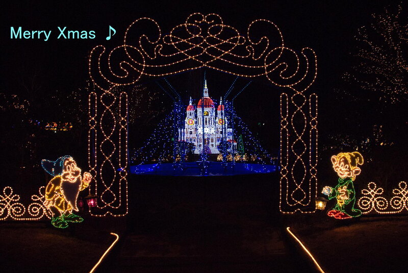 Illuminated Holiday Display — White