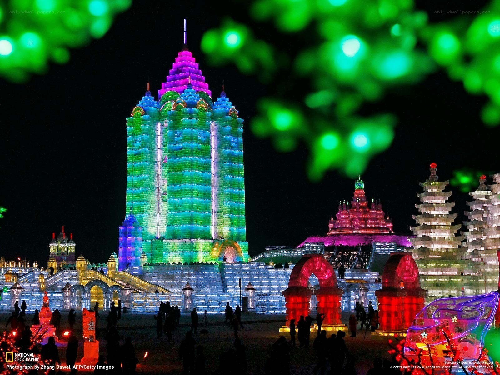 Illuminated ice sculptures at night