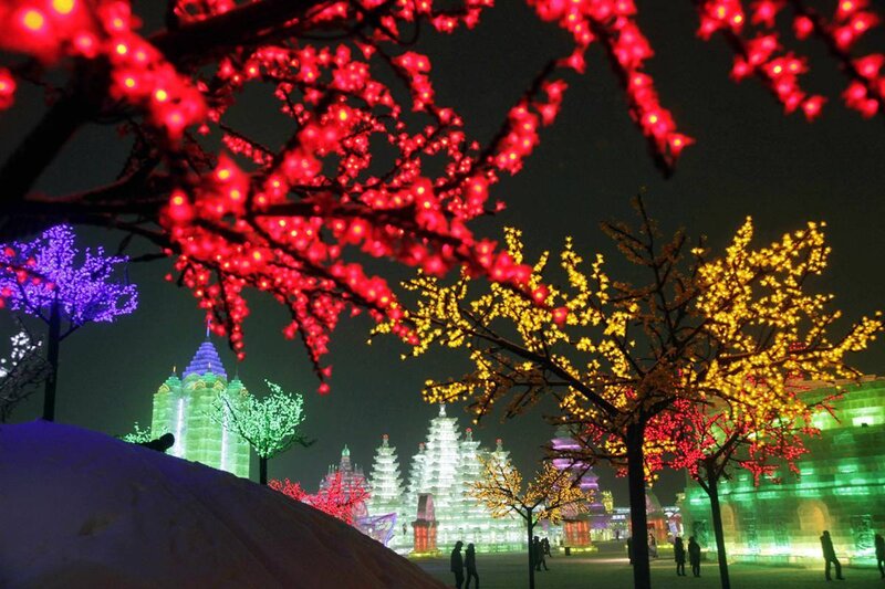 Illuminated ice sculptures at night