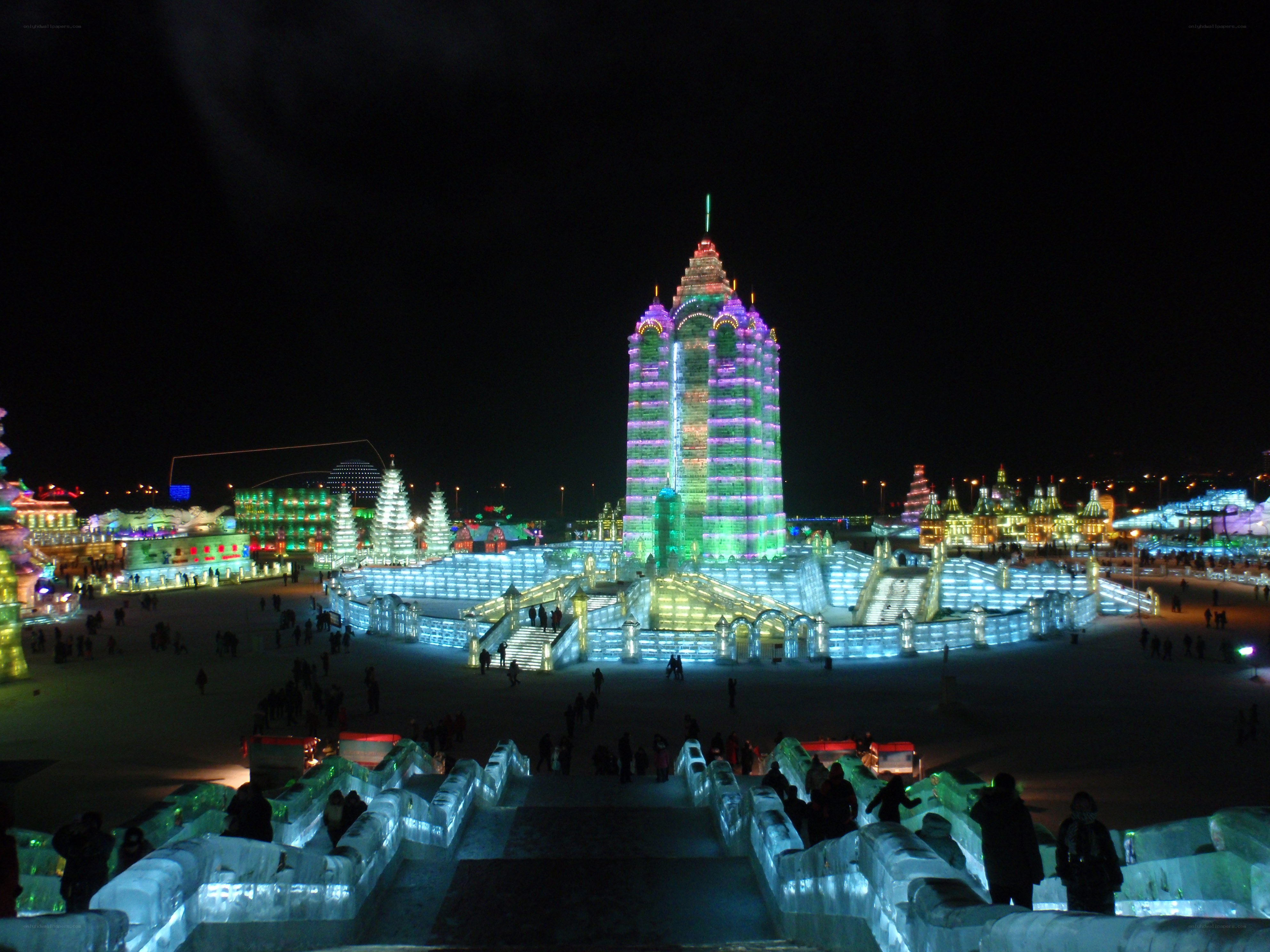 Illuminated ice sculptures at night