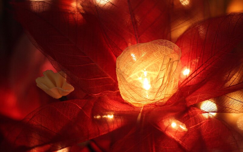 Illuminated Leaf Lantern