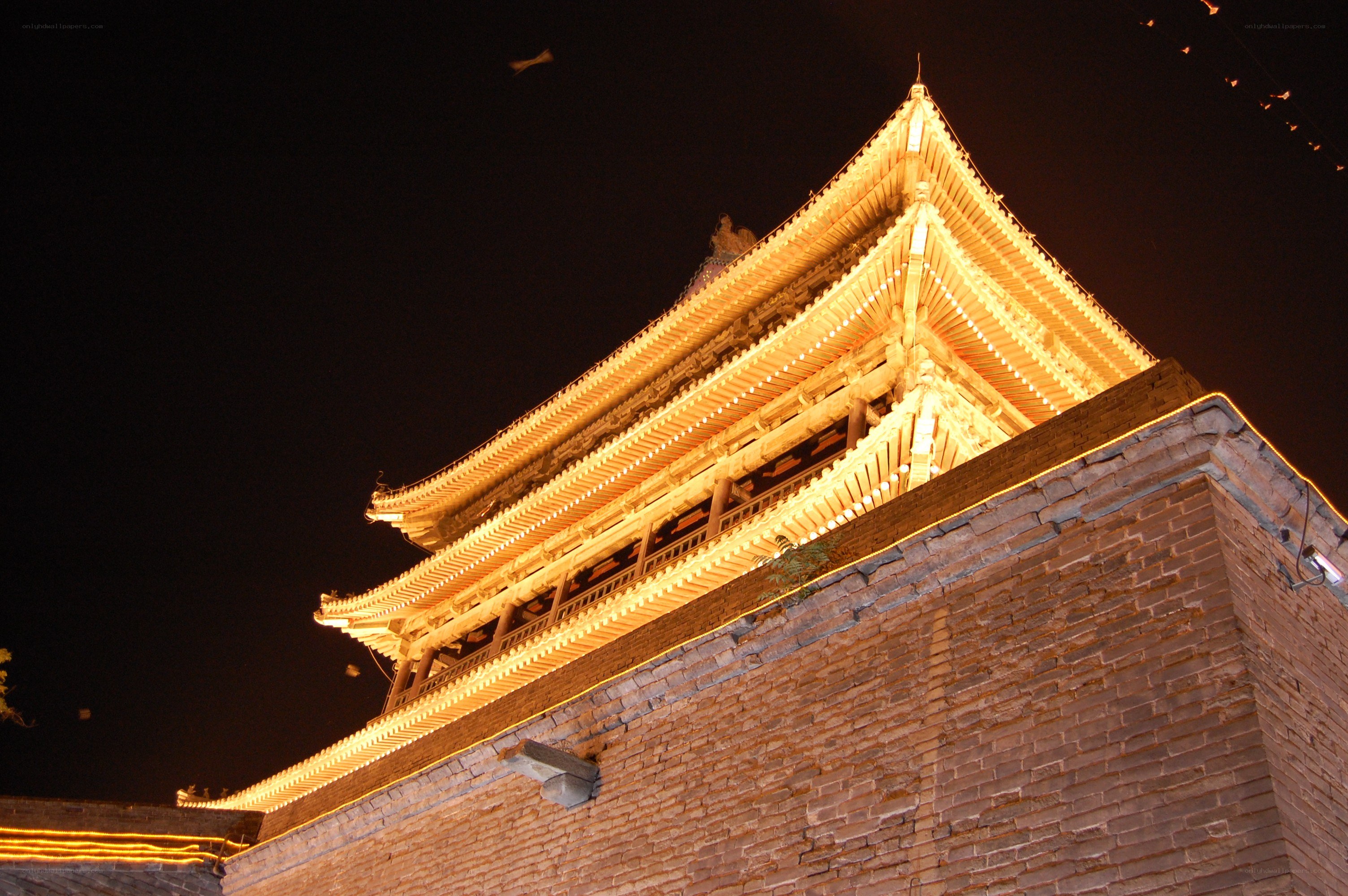 illuminated pagoda at night