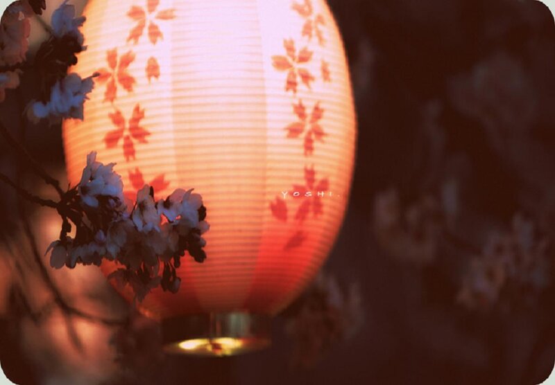 Illuminated Paper Lantern