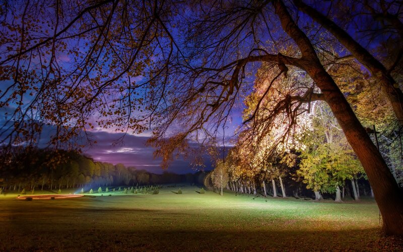 Illuminated Park at Night — Blue, Serene
