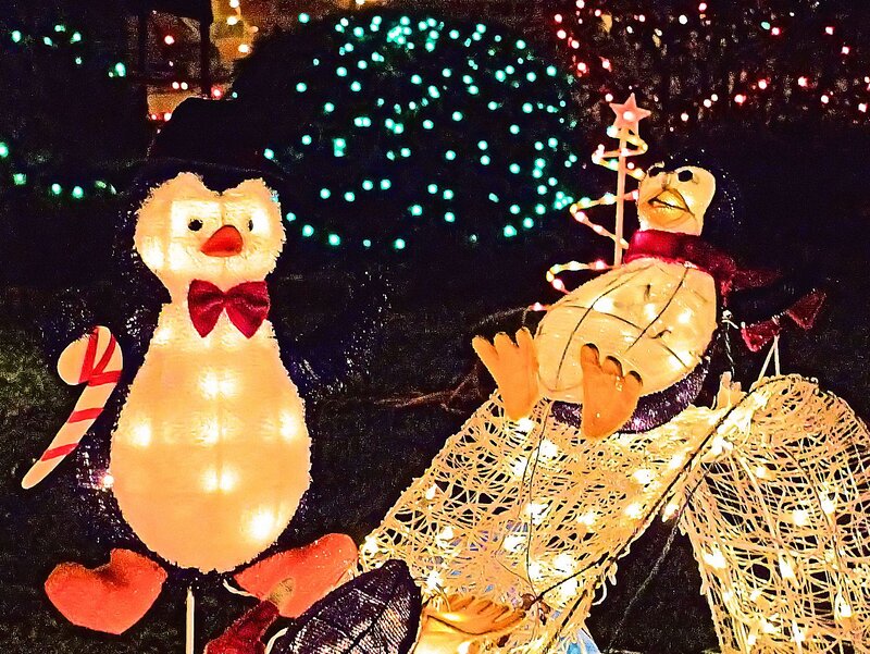 Illuminated Penguin Figures