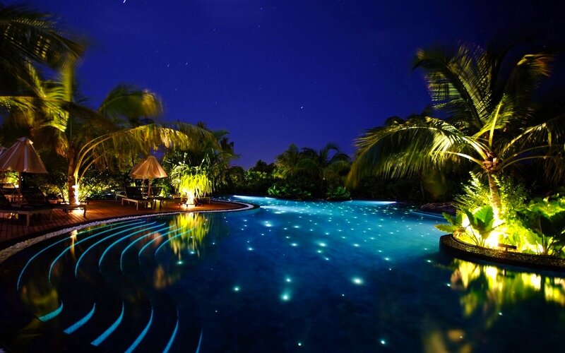 Illuminated Pool at Night — Blue, Serene, Photograph, Palm Trees