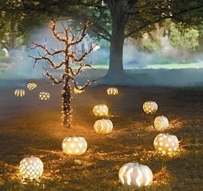Illuminated Pumpkins and Tree