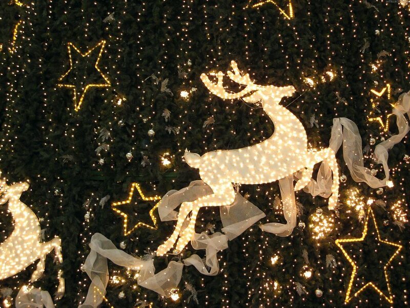 Illuminated Reindeer Decoration