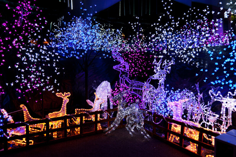 Illuminated Reindeer Display