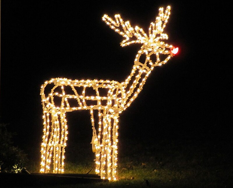 Illuminated Reindeer Figure