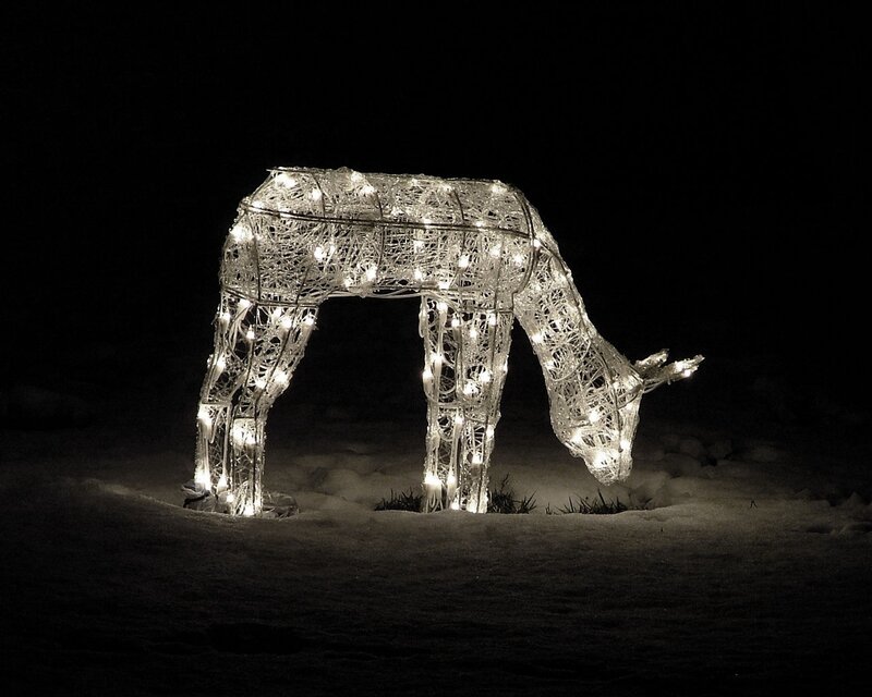Illuminated Reindeer Sculpture