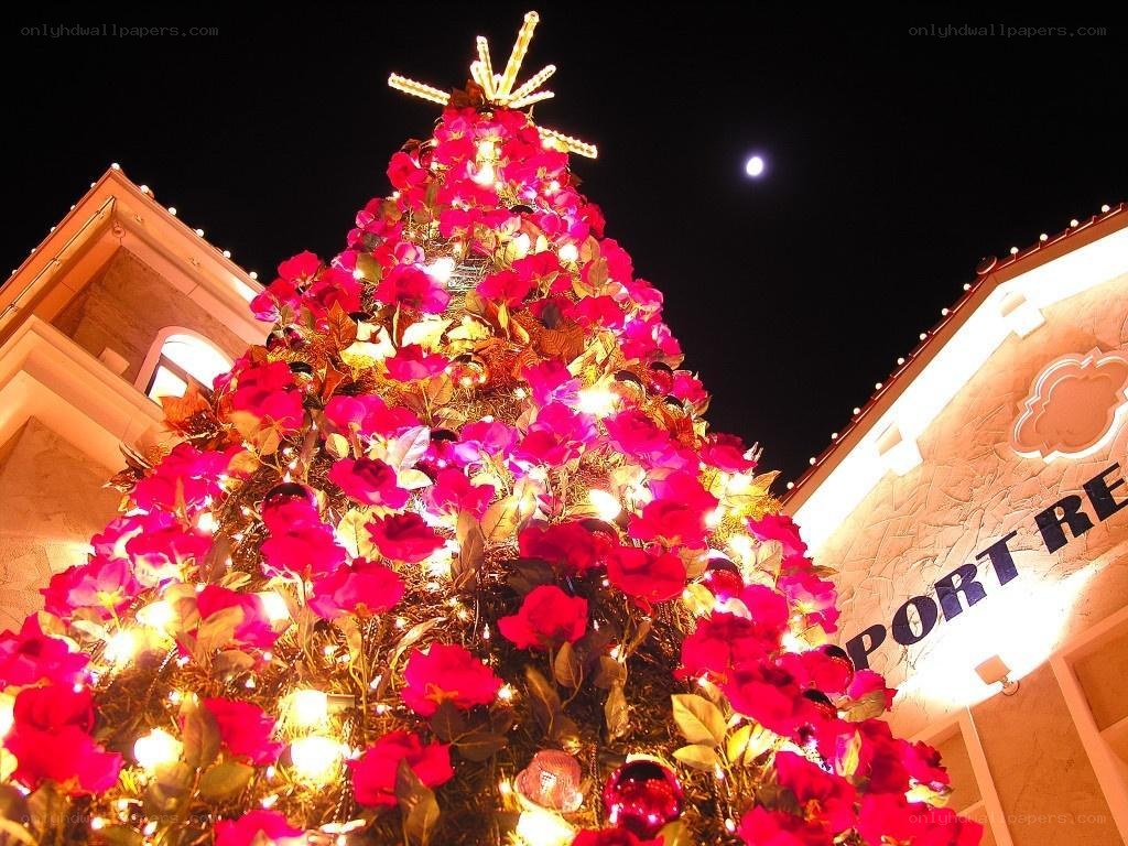 illuminated rose christmas tree