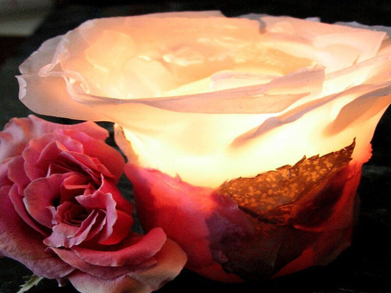 Illuminated Rose Sculpture