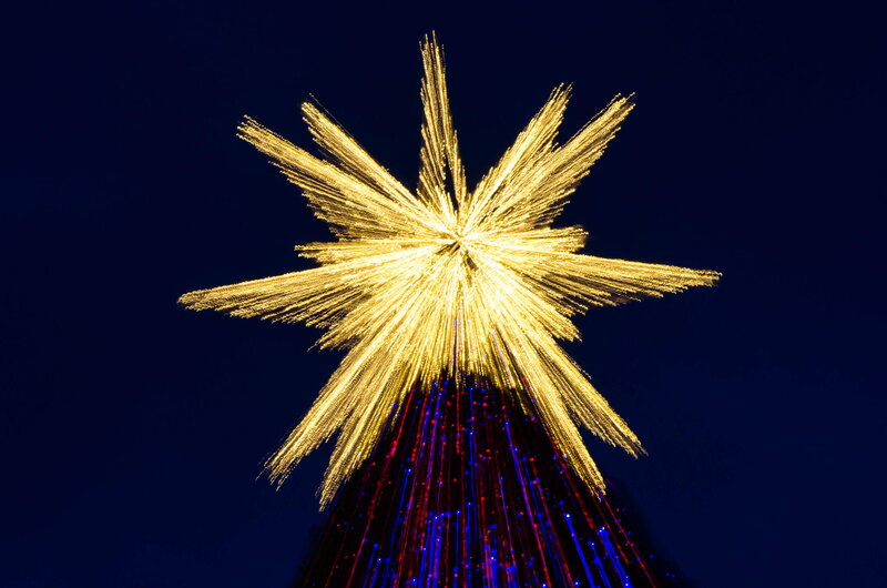 Illuminated Star on Tree