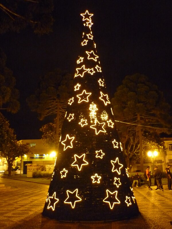 illuminated star tree at night