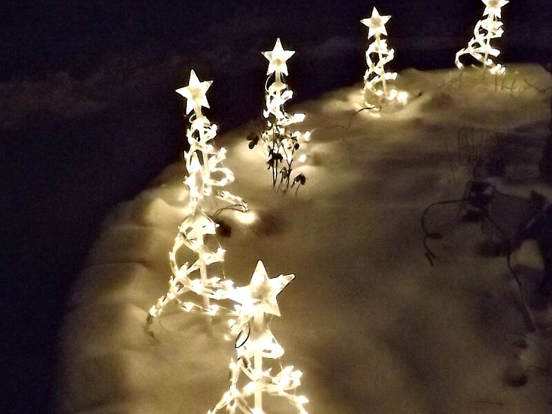 Illuminated Star Trees