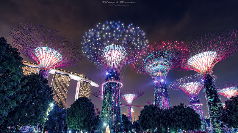 Illuminated Supertrees