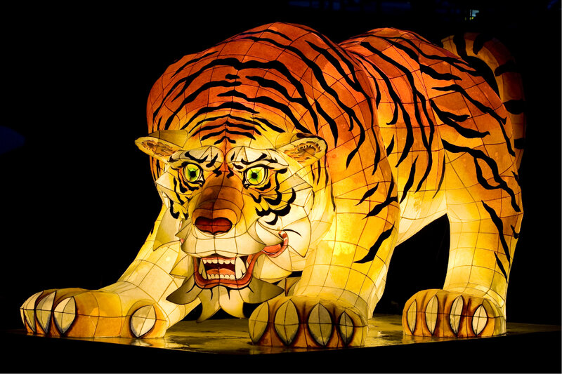Illuminated Tiger Lantern