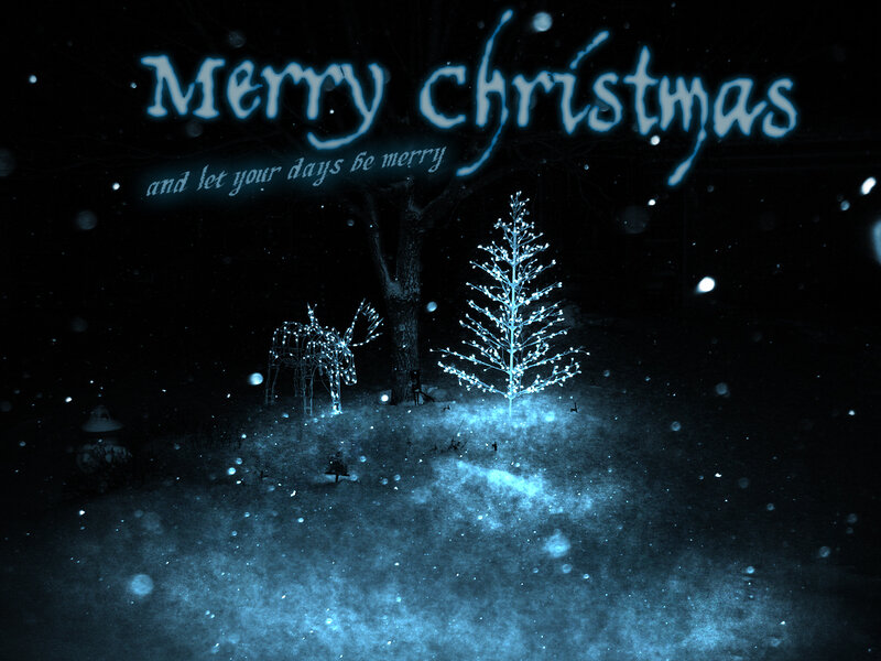 Illuminated Tree and Reindeer