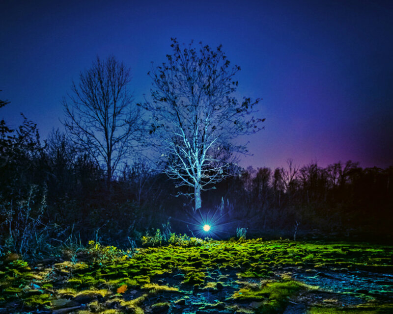 Illuminated Tree at Night — Blue, Dramatic
