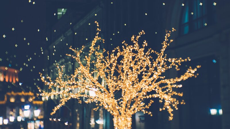 Illuminated Tree at Night — Gold