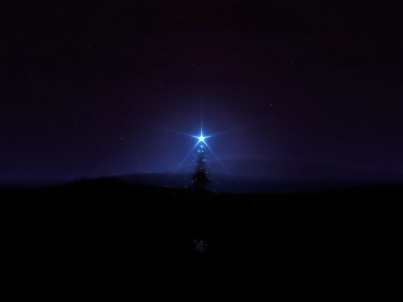 Illuminated Tree at Night