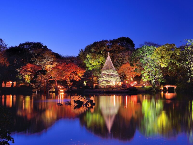 Illuminated Tree by Lake — Blue
