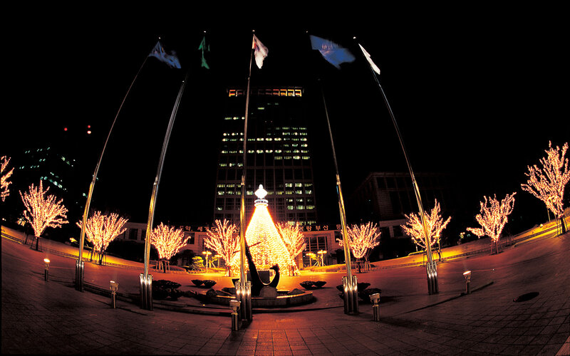 Illuminated Tree in Plaza