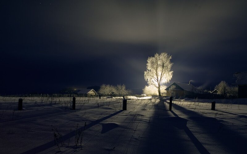 Illuminated Tree in Snow — Black
