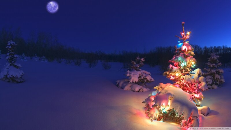 Illuminated Tree in Snow — Blue, Serene, Night, Digital Art, Moon, Forest