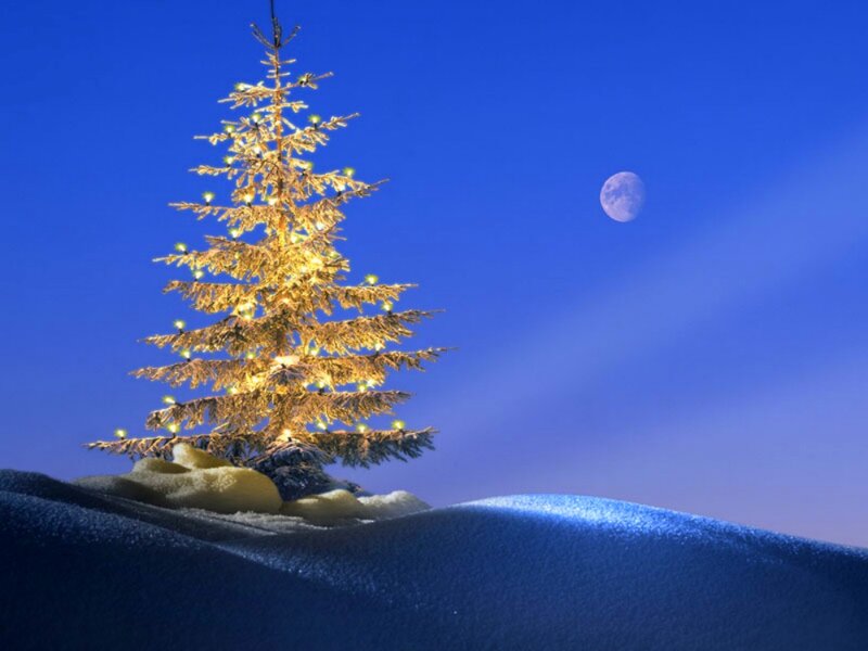 Illuminated Tree in Snow — Blue, Serene, Night, Digital Art, Moon