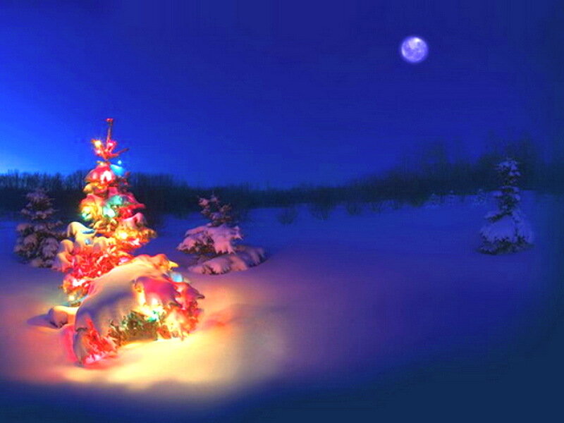 Illuminated Tree in Snow — Blue, Serene